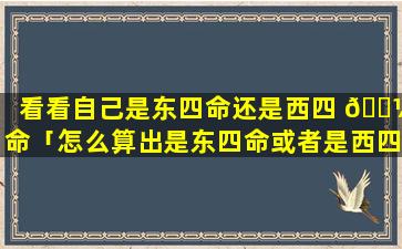 看看自己是东四命还是西四 🌼 命「怎么算出是东四命或者是西四命的人」
